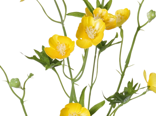 Buttercup | Bouton d'or 70cm Yellow