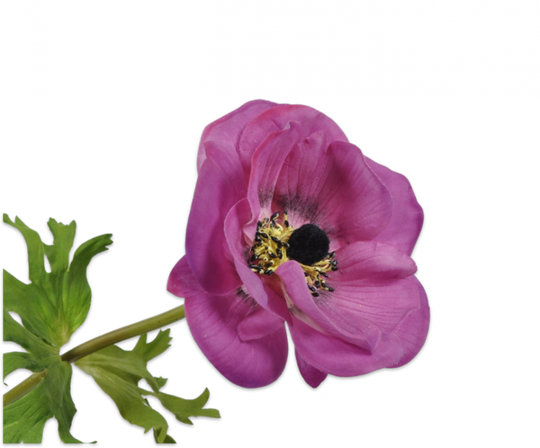 Anemone | Anémone 44cm RealTouch Purple