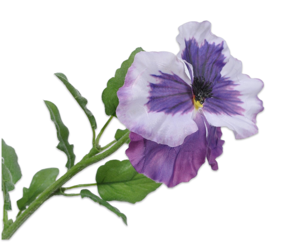 Pansy | Pensée 42cm Purple