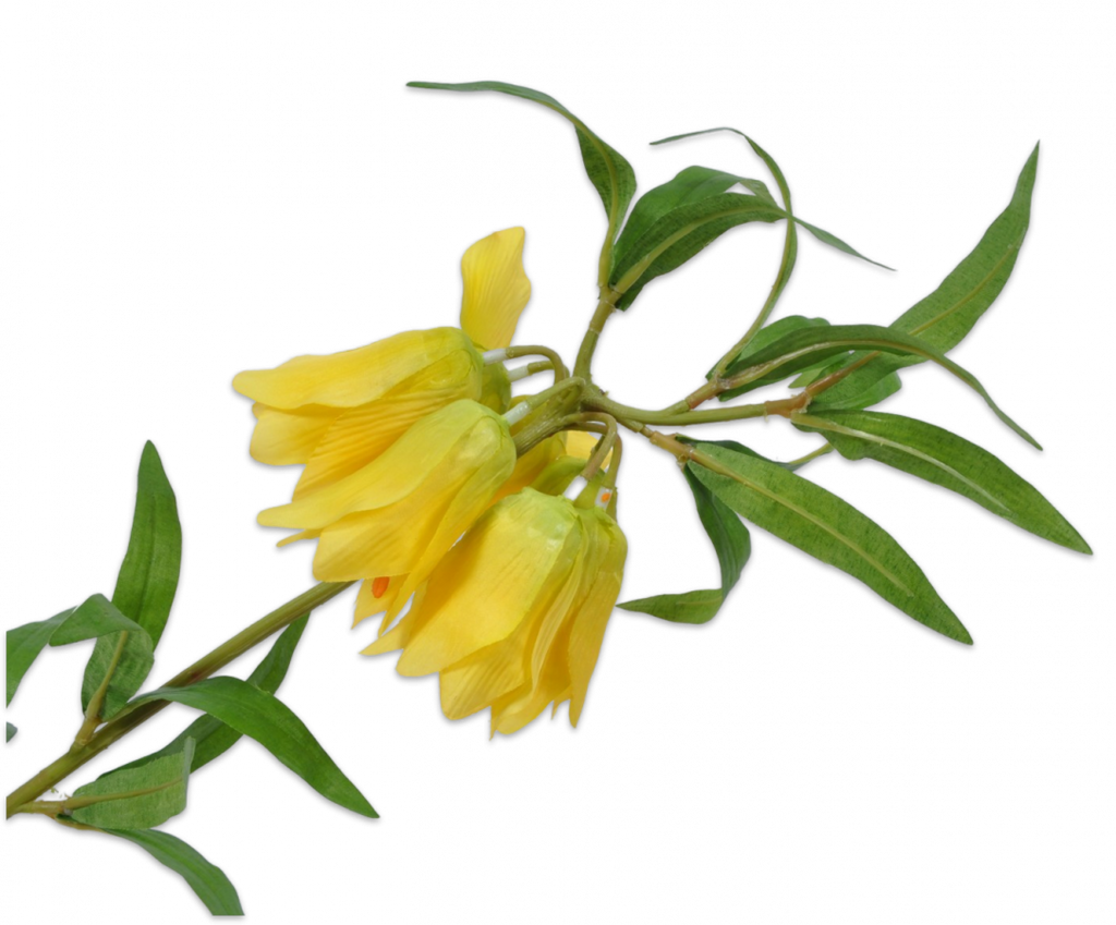 Fritillaria Imperialis 82cm Yellow