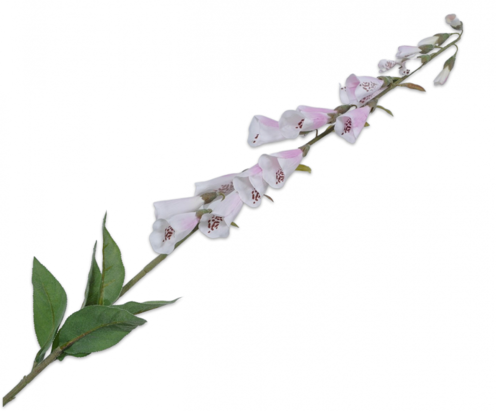 Foxglove | Digitale 107cm Pink