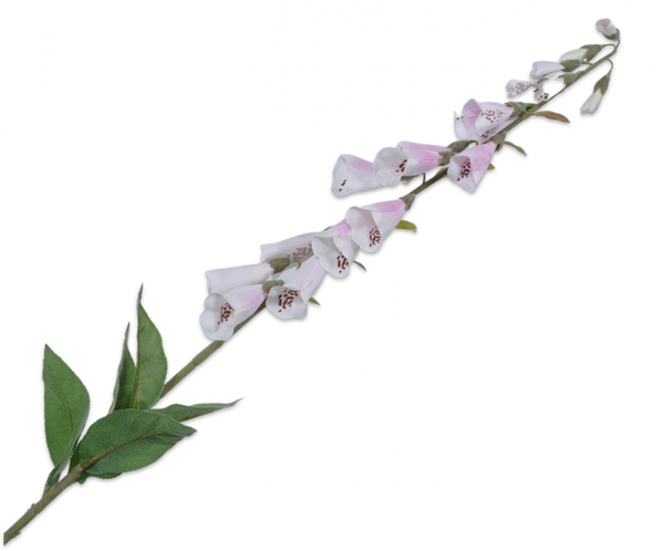 Foxglove | Digitale 107cm Pink