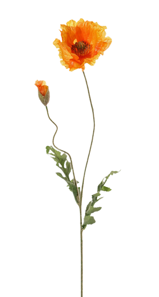 Poppy | Pavot 65cm Orange