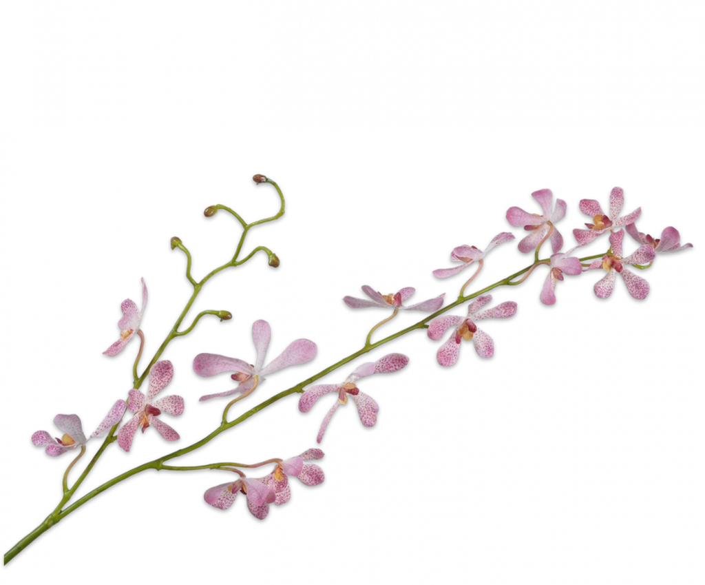 Orchid | Orchidée 108cm Pink