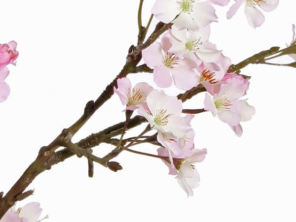 Apple blossom | Fleurs de Pommier 104cm Pink