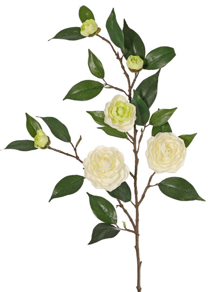 Camellia | Camélia 76cm Cream