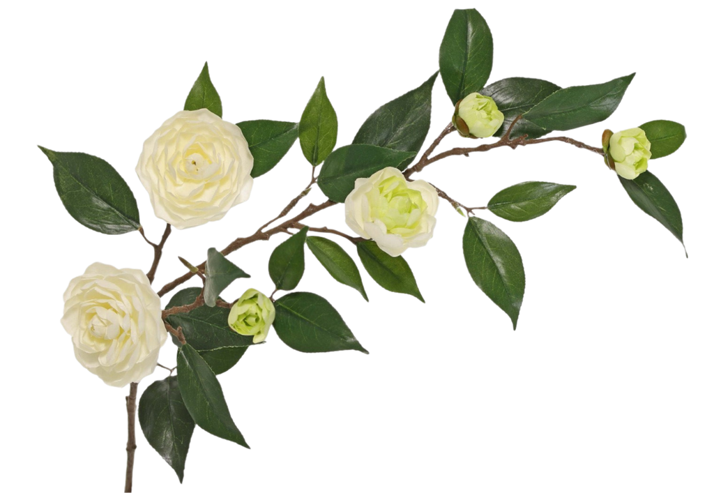 Camellia | Camélia 76cm Cream