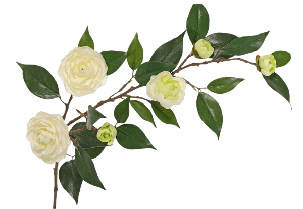 Camellia | Camélia 76cm Cream