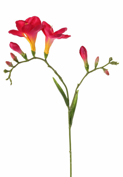 Freesia 65cm Fuchsia
