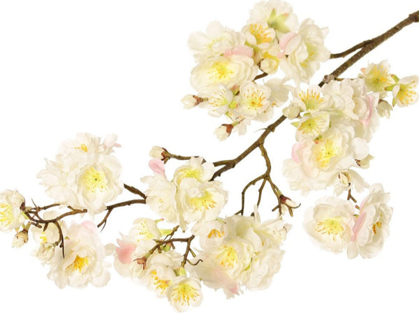 Cherry Blossom | Fleurs de Cerisier 92cm Creme