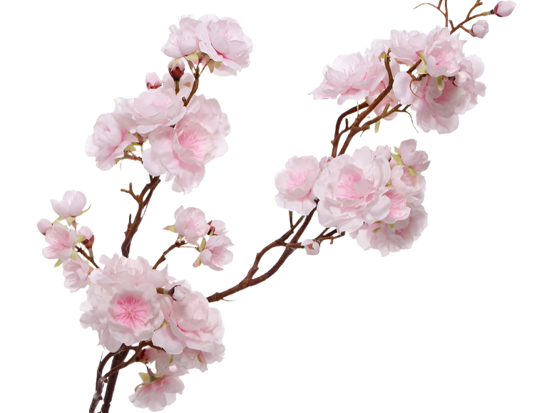 Cherry Blossom | Fleurs de Cerisier 92cm Pink