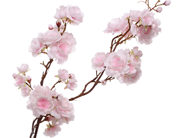 Cherry Blossom | Fleurs de Cerisier 92cm Pink