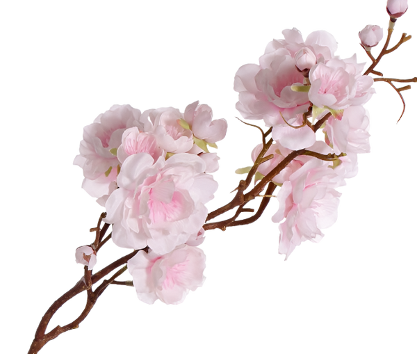 Cherry Blossom | Fleurs de Cerisier 92cm Pink