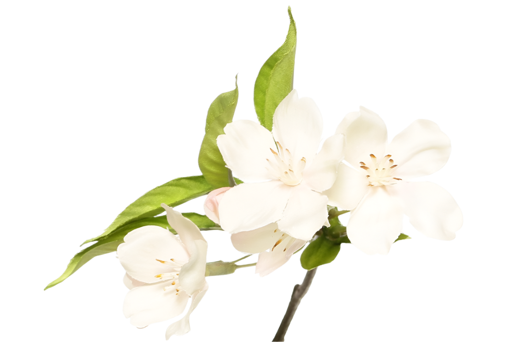 Pear blossom | Fleurs de Poirier 115cm Cream Pink