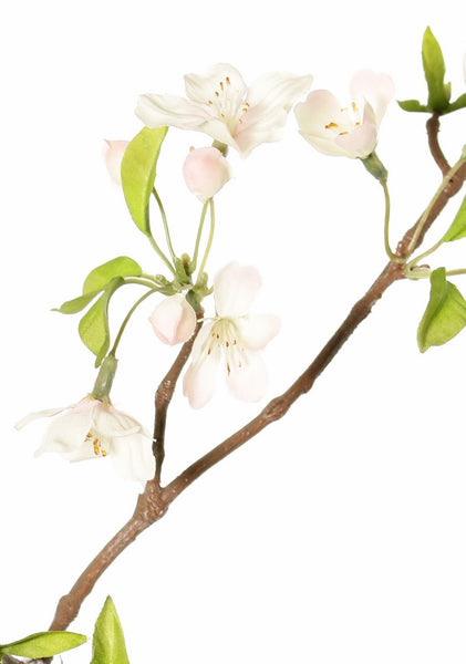 Pear blossom | Fleurs de Poirier 115cm Cream Pink