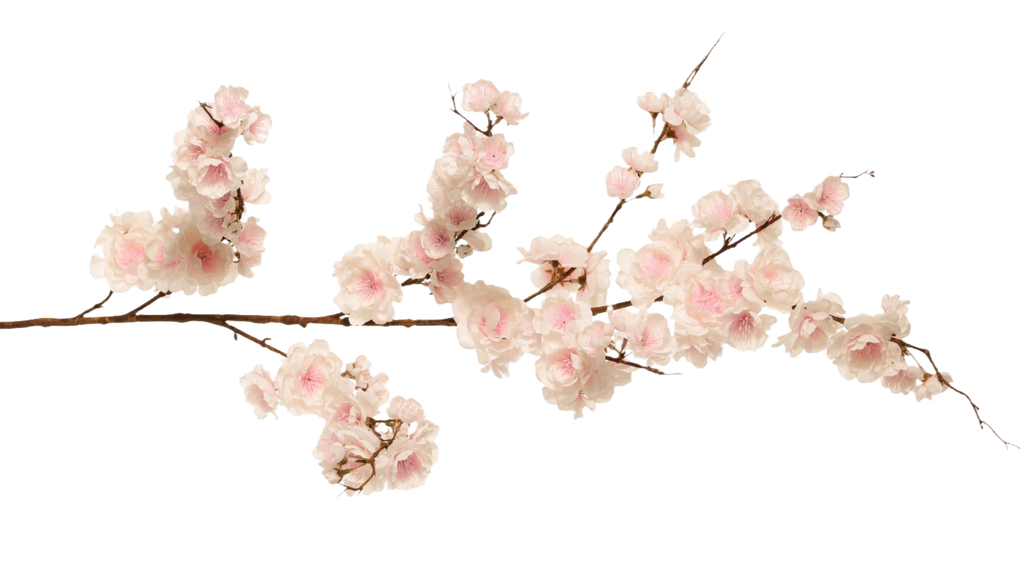 Cherry Blossom | Fleurs de Cerisier 127cm Pink