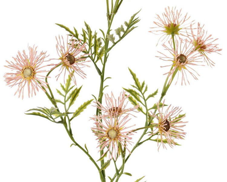 Daisy | Marguerite 70cm Pink