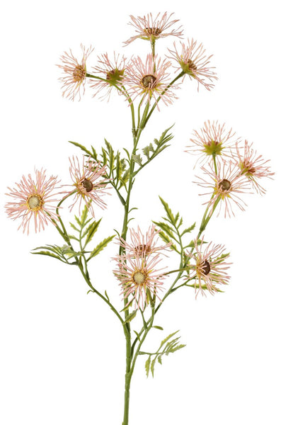Daisy | Marguerite 70cm Pink