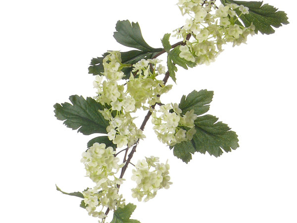Viburnum | Boule de neige 86cm Light Green