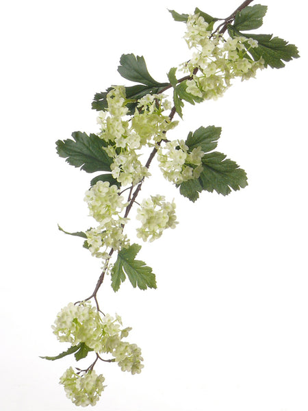 Viburnum | Boule de neige 86cm Light Green
