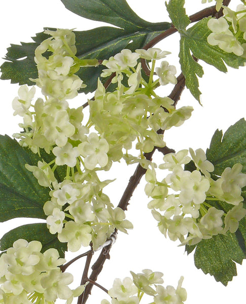 Viburnum | Boule de neige 86cm Light Green