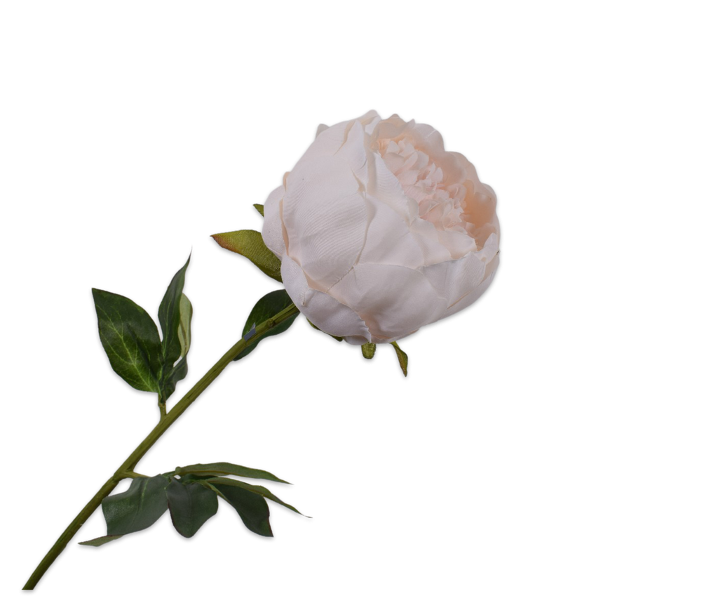 Peony | Pivoine 52cm Light Pink
