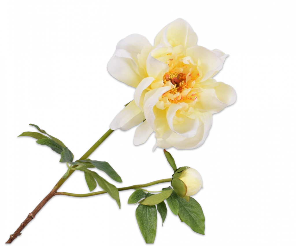 Peony | Pivoine 72cm Light Yellow