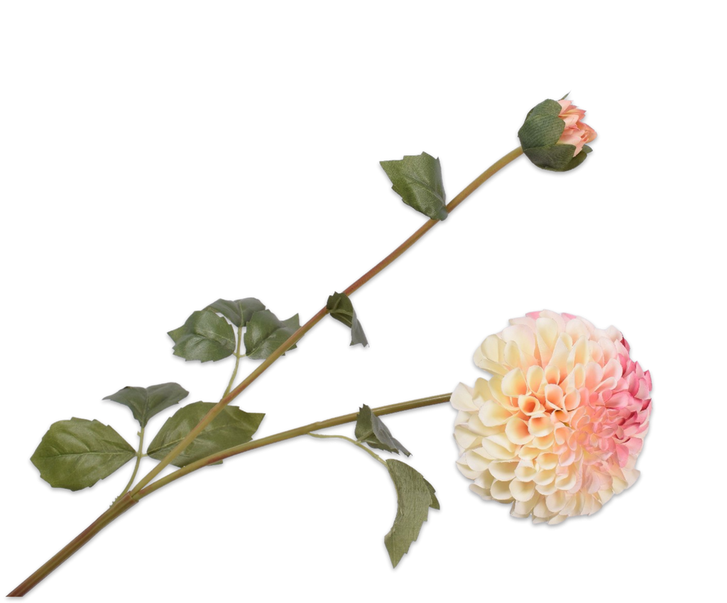 Dahlia 80cm Cream Pink