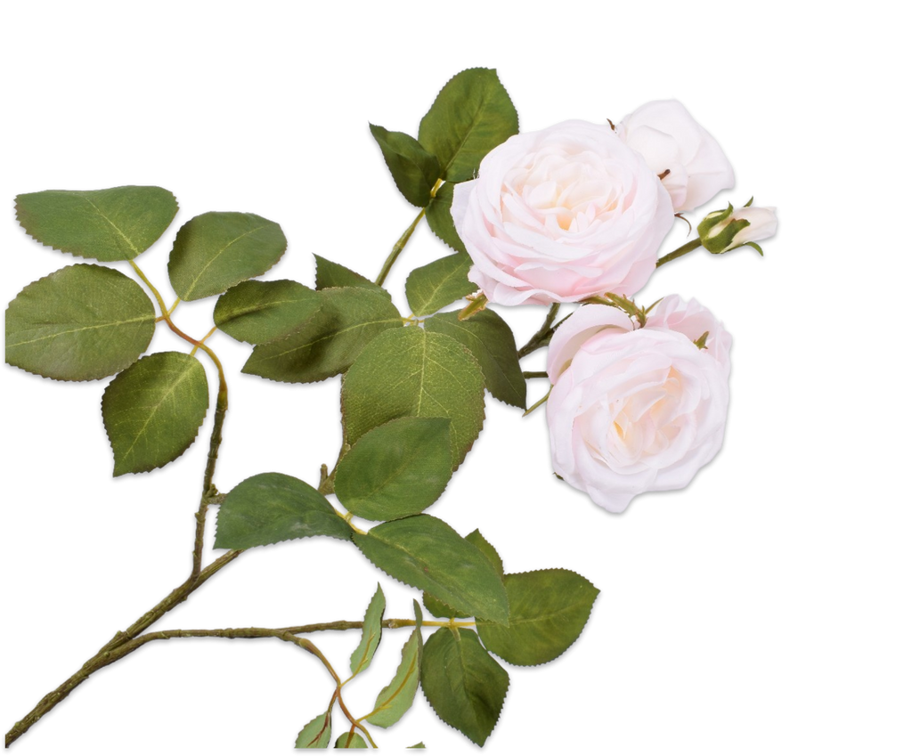 Rose 93cm Pink