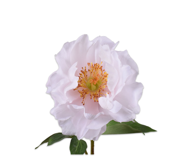 Peony | Pivoine 56cm Light Purple