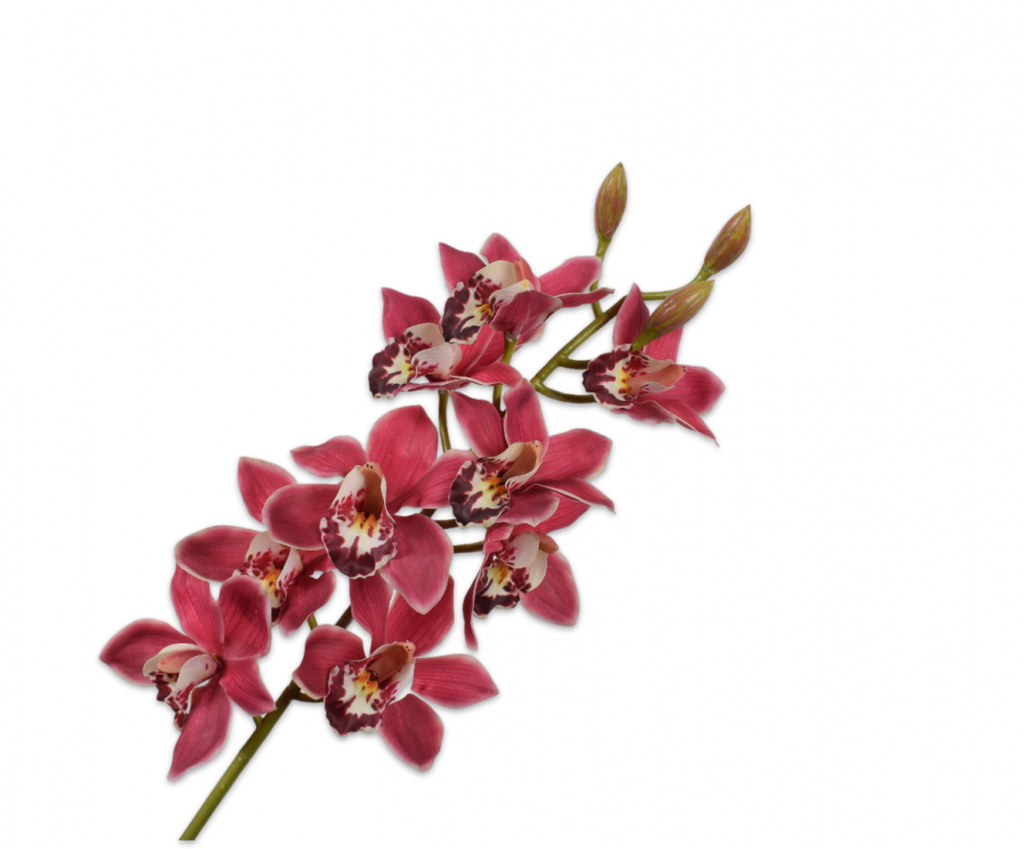Orchid | Orchidée 93cm Red Cream