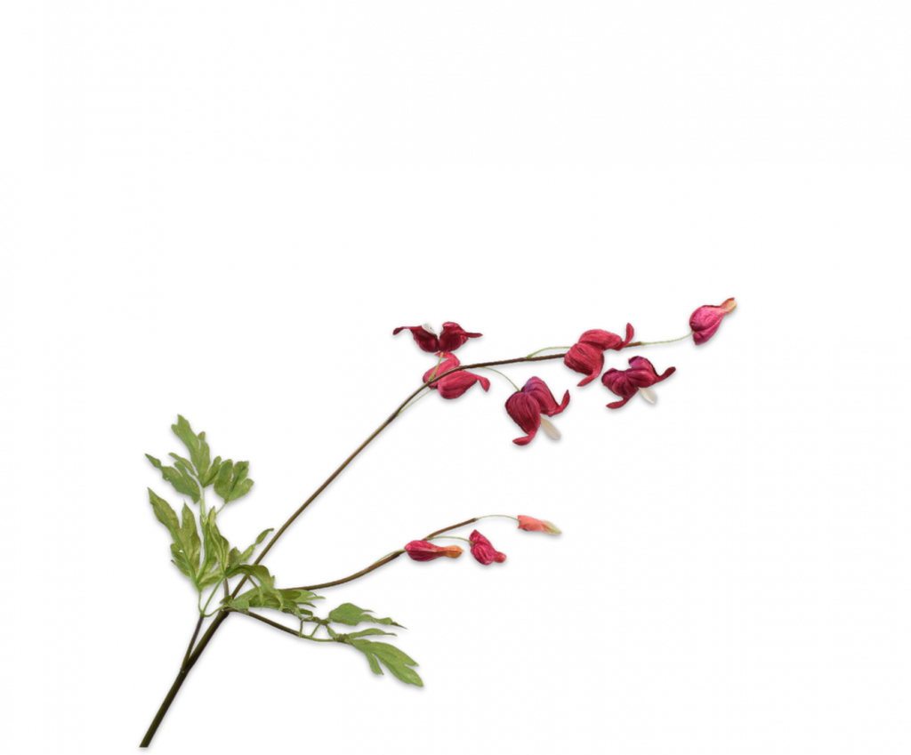 Bleeding Heart | Cœur de Marie 71cm Red Burgundy