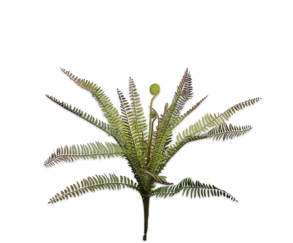 Fern | Fougère 57cm Green