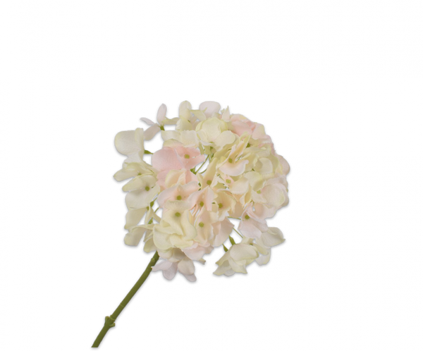 Hydrangea | Hortensia 48cm Cream Pink