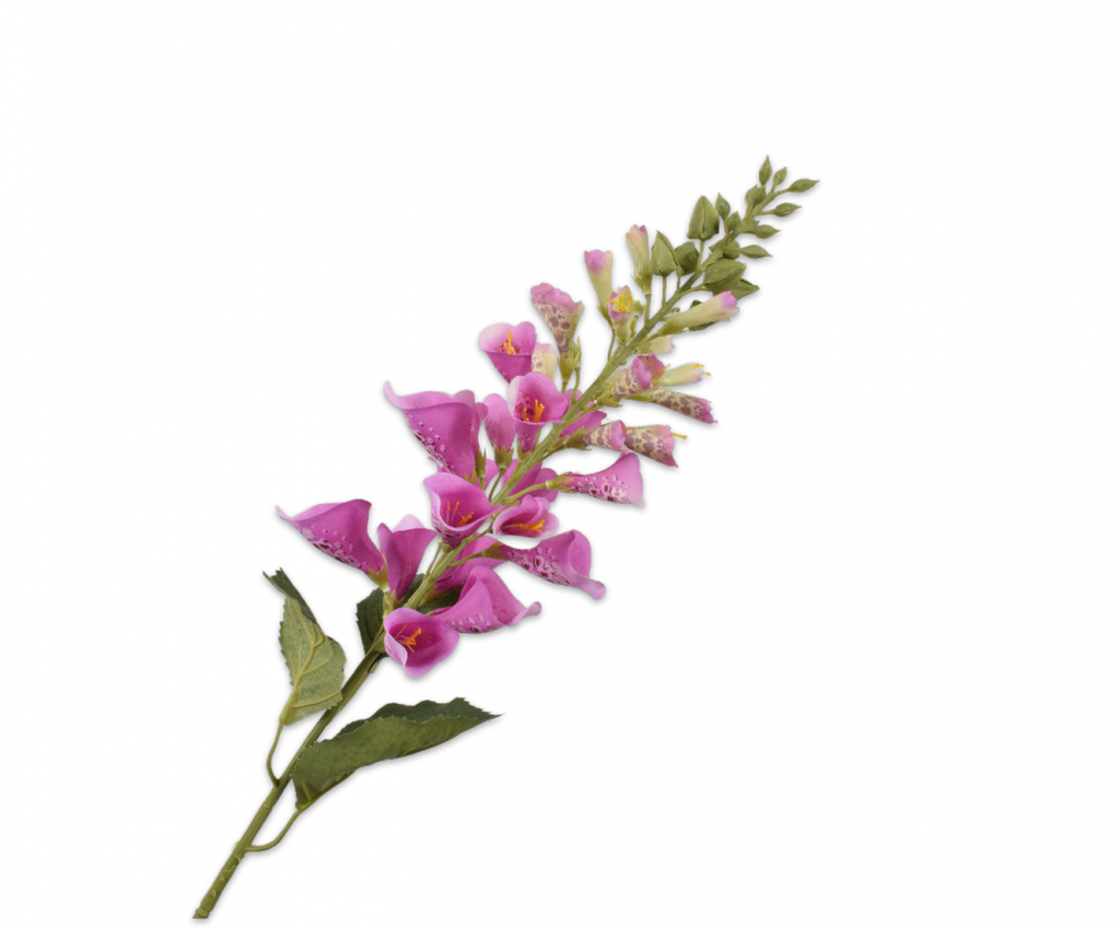Foxglove | Digitale 90cm Purple