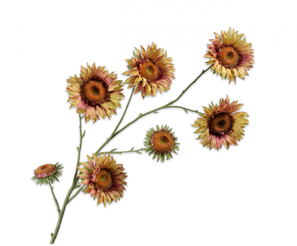 Sunflower | Tournesol 134cm Mauve