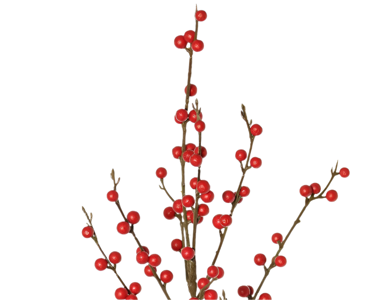 Ilex Berries | Baies 91cm Red