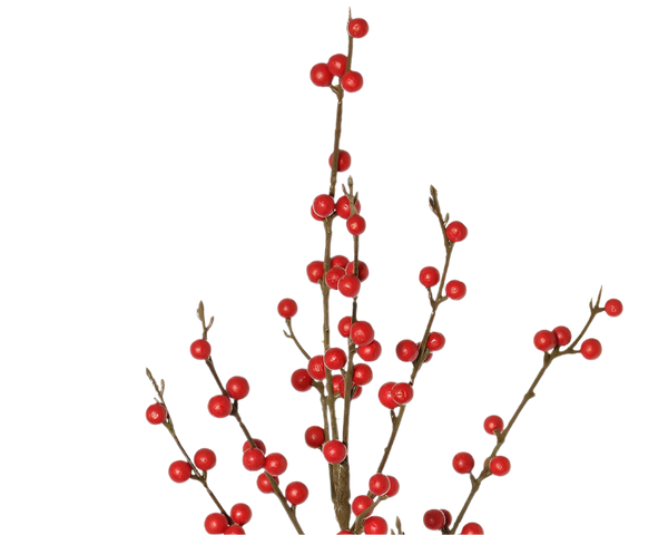 Ilex Berries | Baies 91cm Red