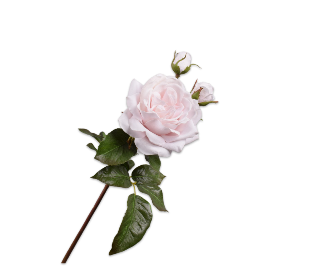 Rose 55cm RealTouch Pink