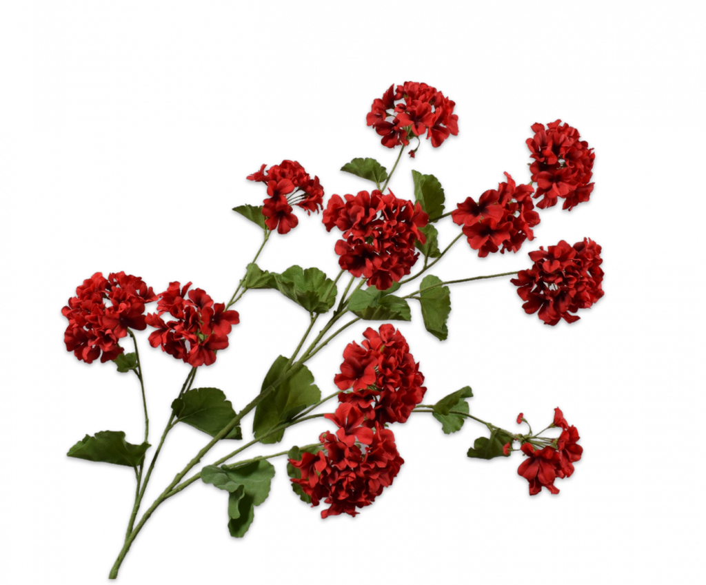 Geranium 121cm Red