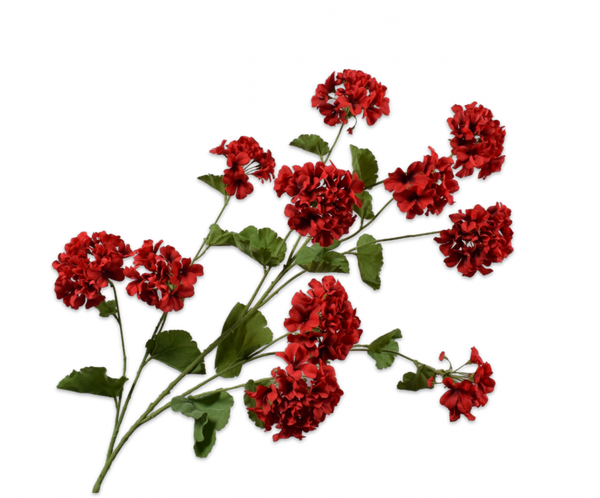 Geranium 121cm Red