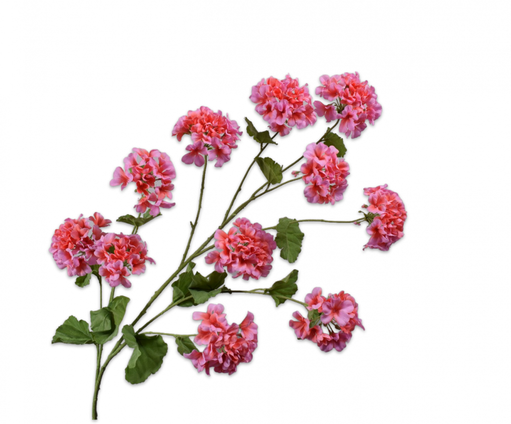 Geranium 121cm Pink