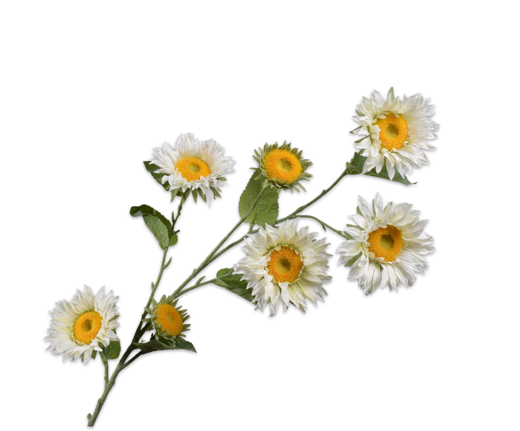 Sunflower | Tournesol 134cm White Yellow