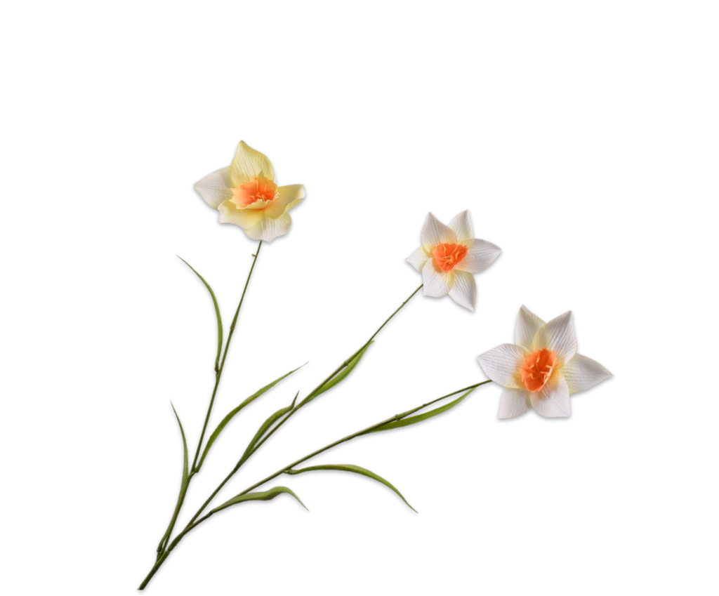 Daffodil | Narcissus 70cm White Yellow