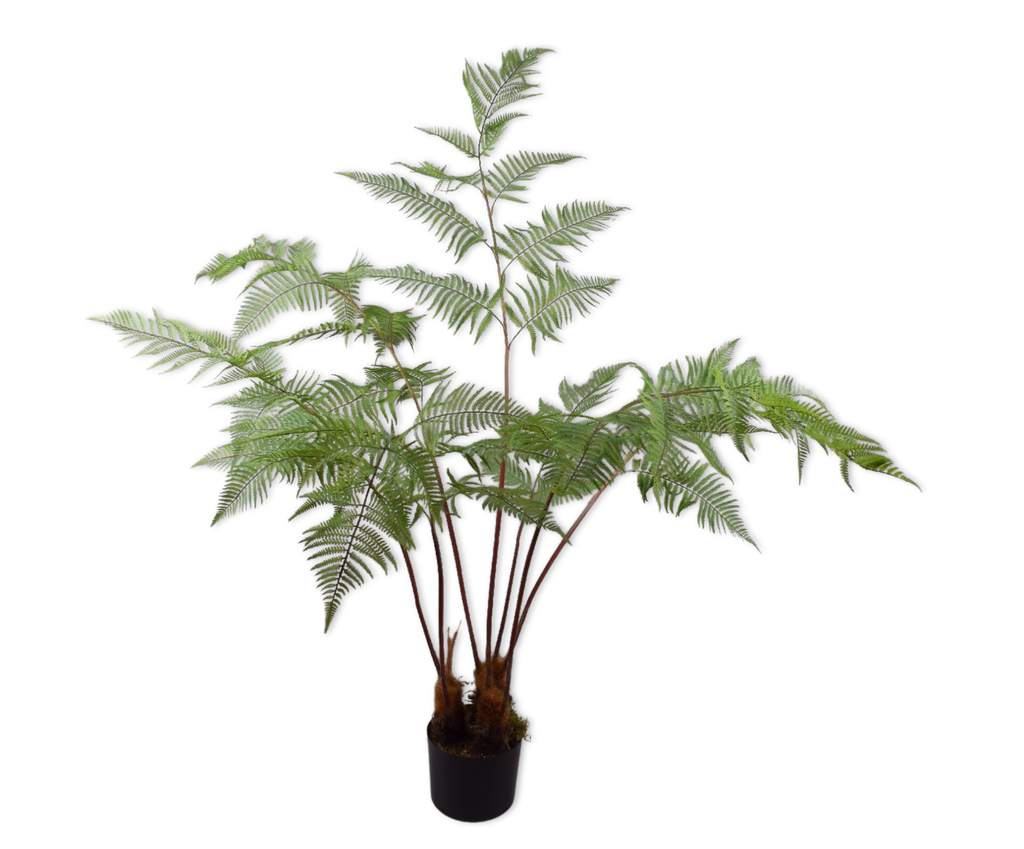 Fern | Fougère 157cm Green