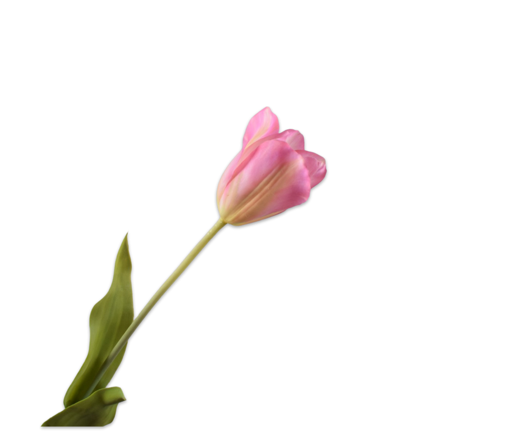 Tulip | Tulipe 72cm RealTouch Pink Green