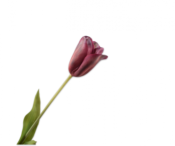 Tulip | Tulipe 72cm RealTouch Mauve Peach