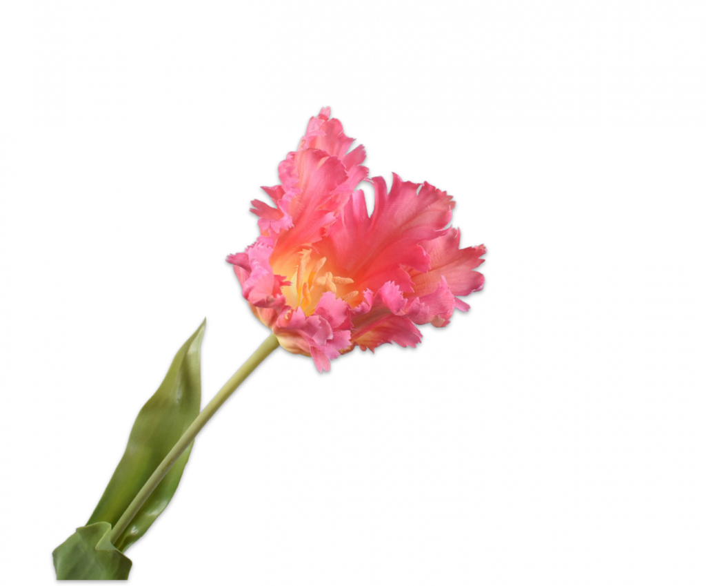 Tulip Parrot | Tulipe Perroquet 71cm RealTouch Fuchsia