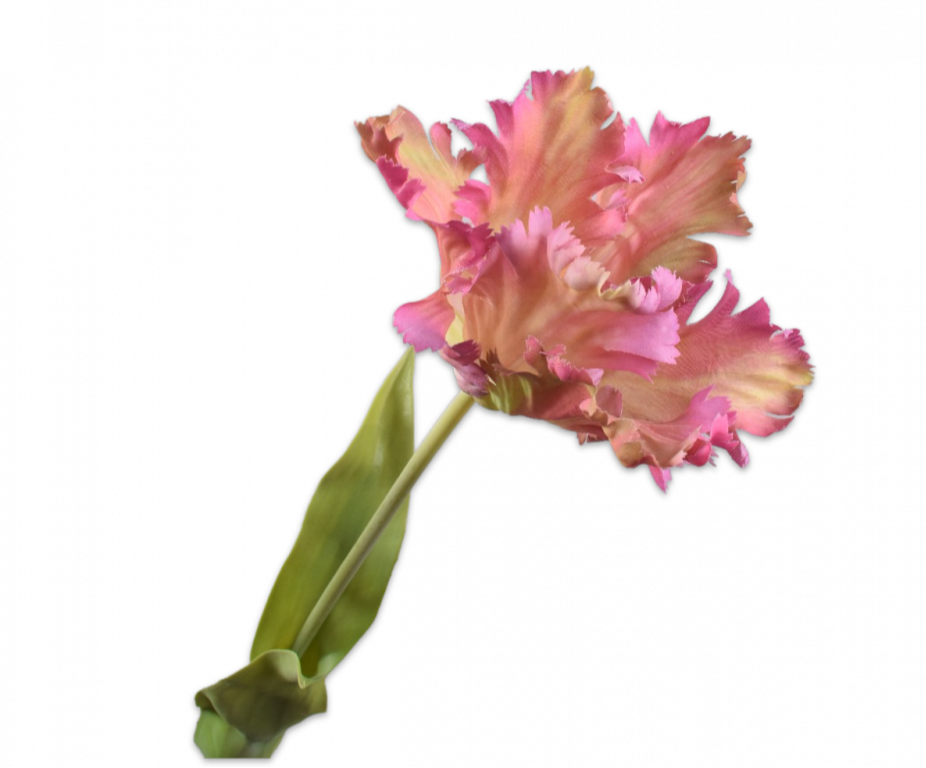 Tulip Parrot | Tulipe Perroquet 71cm RealTouch Mauve Green
