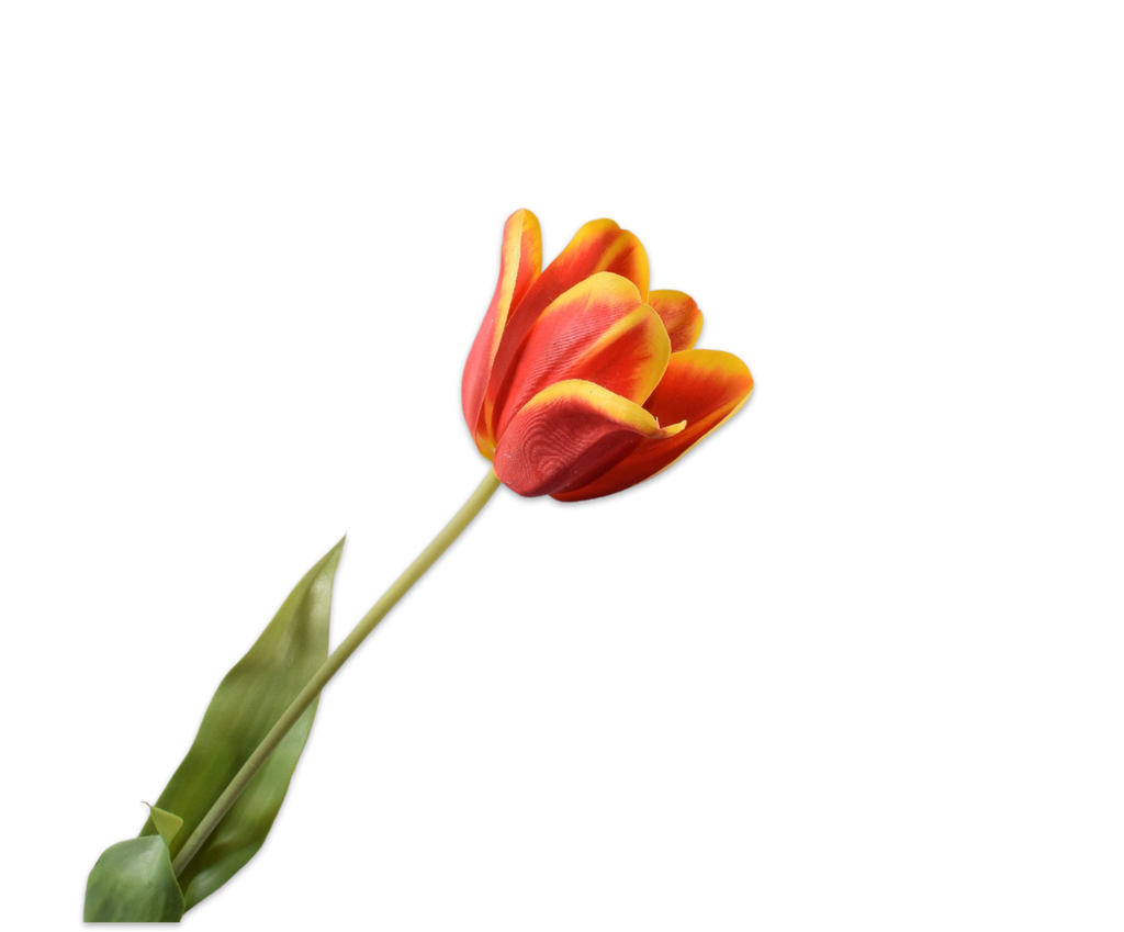 Tulip | Tulipe 71cm RealTouch Red Yellow